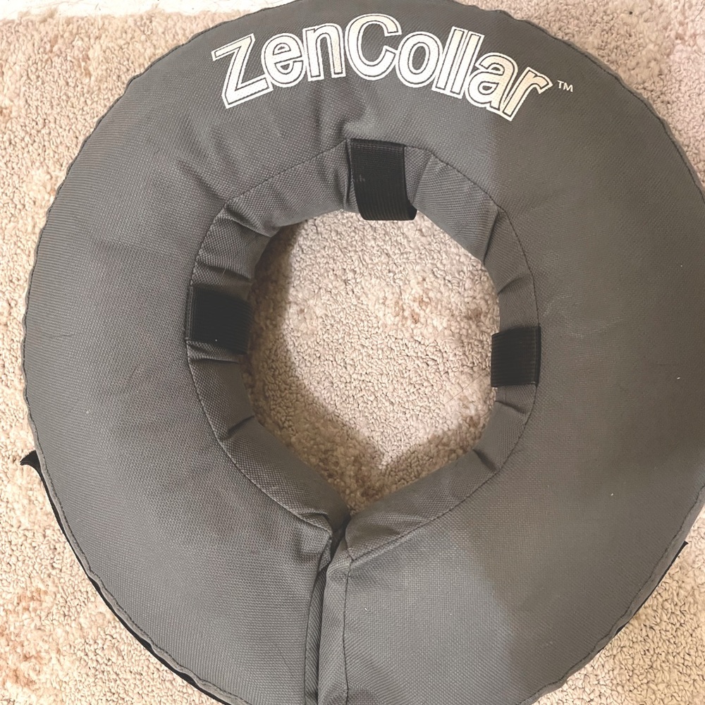 ZenCollar Inflatable Donut for dogs